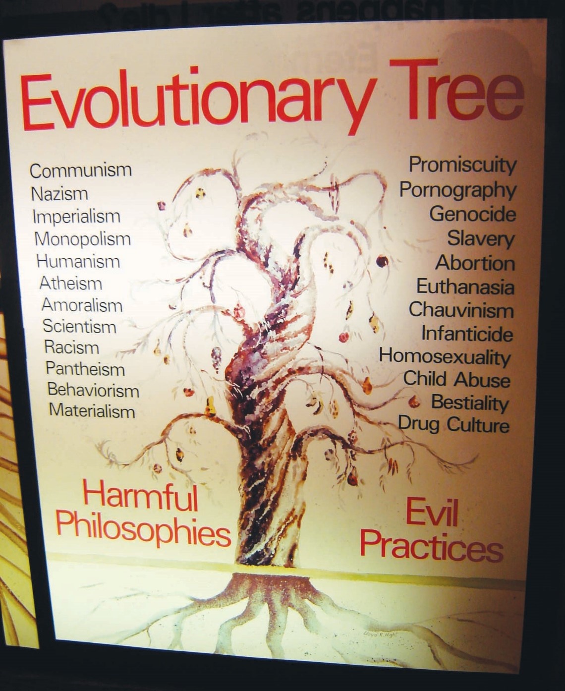 evolutionary tree
